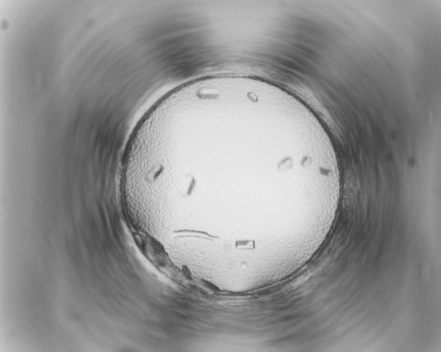 X0000087361484200705111632