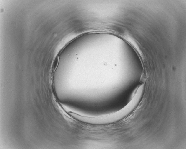 X0000087361485200705111632