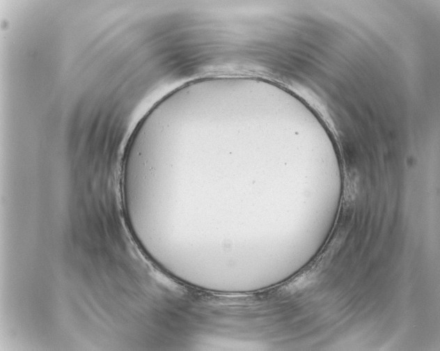 X0000087361486200705111632