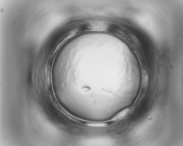 X0000087361487200705111632