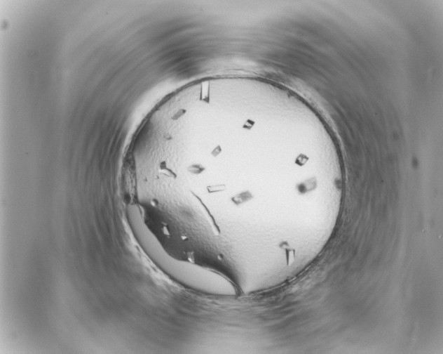 X0000087361488200705111632