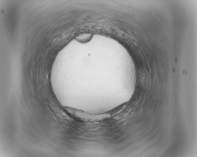 X0000087361489200705111631