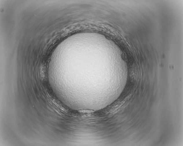 X0000087361490200705111631