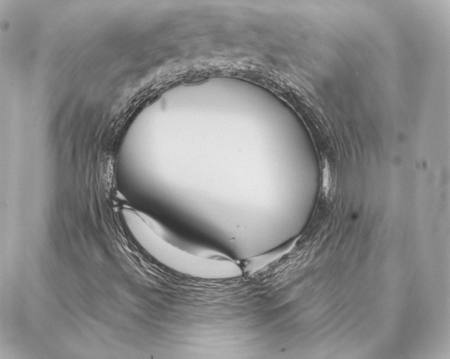 X0000087361492200705111631