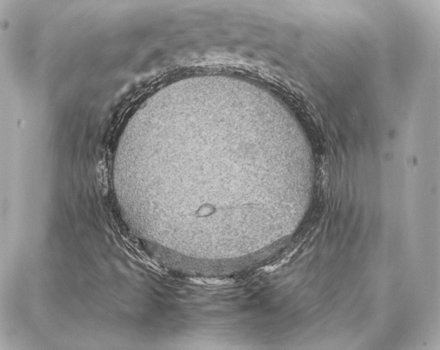 X0000087361493200705111631