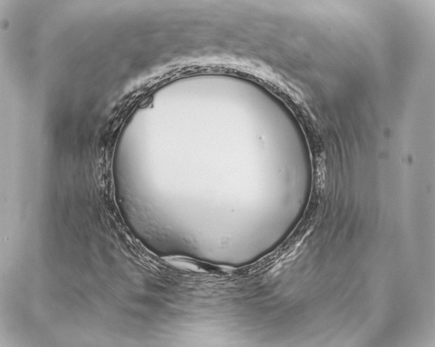 X0000087361494200705111631