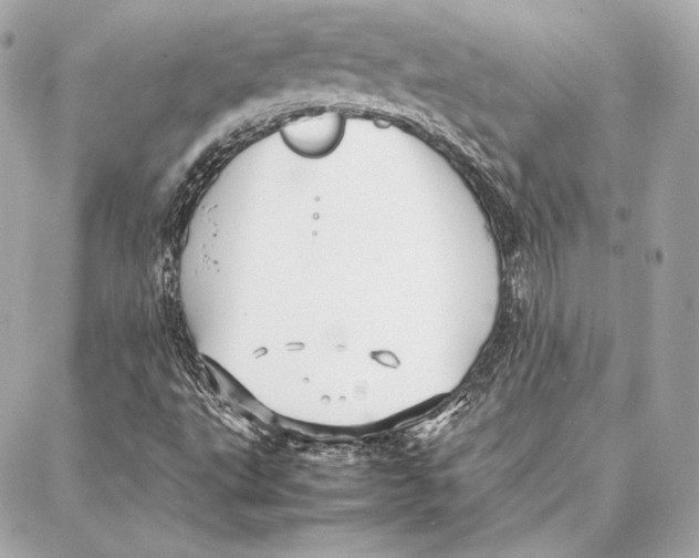 X0000087361495200705111632