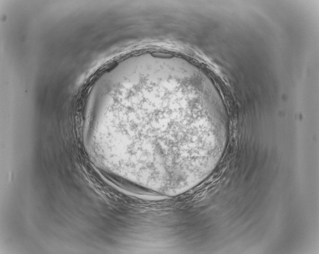 X0000087361496200705111632