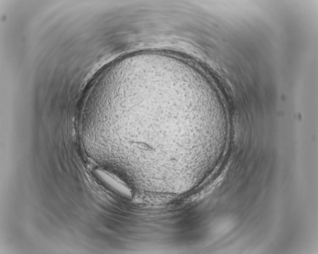 X0000087361497200705111632