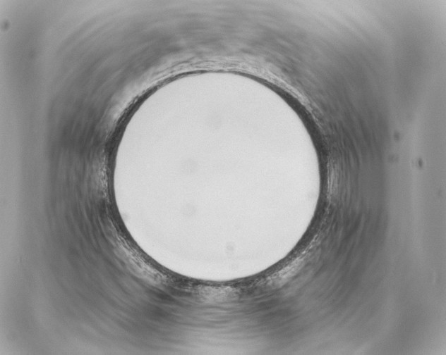 X0000087361498200705111632