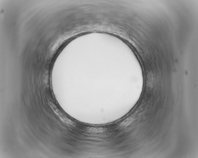 X0000087361499200705111632