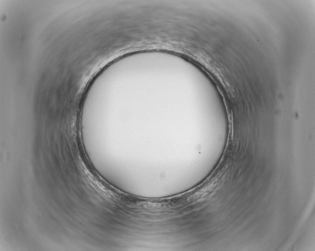 X0000087361500200705111632