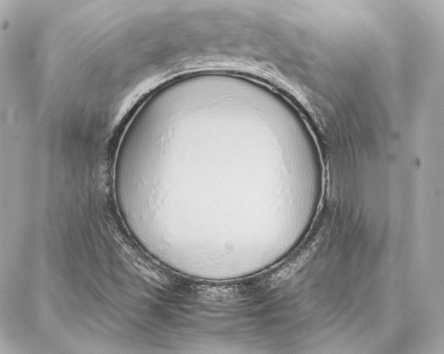 X0000087361501200705111632