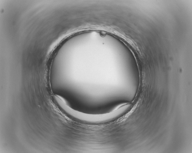 X0000087361502200705111632