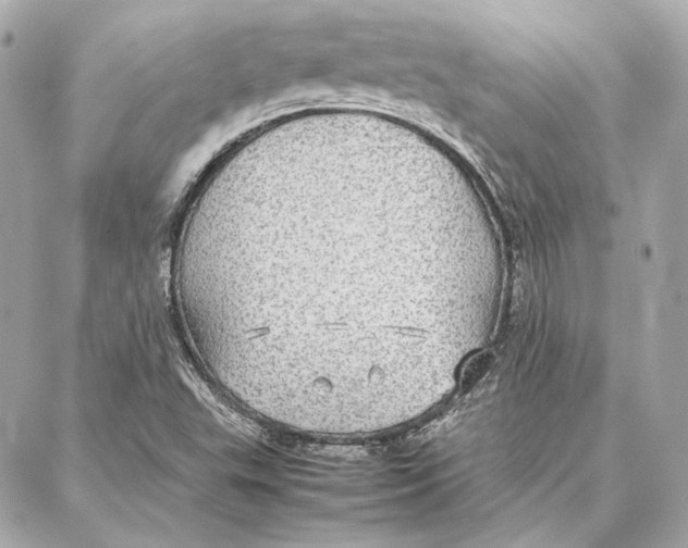 X0000087361503200705111632