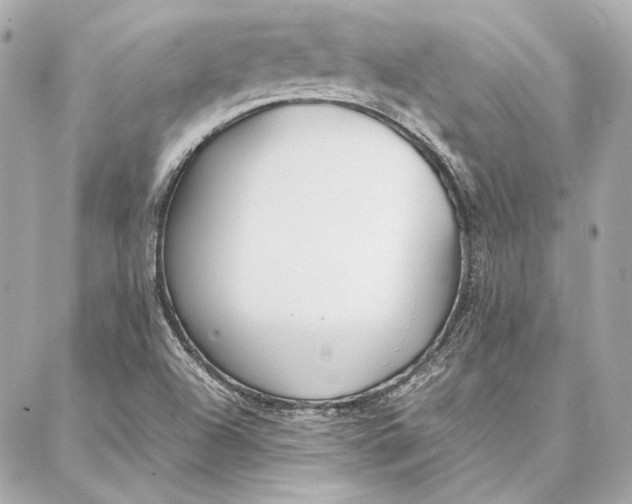 X0000087361504200705111632