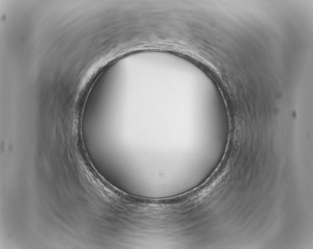 X0000087361506200705111632