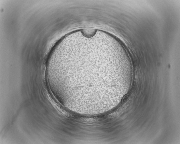 X0000087361507200705111632