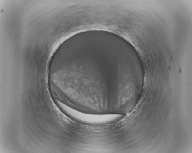 X0000087361508200705111632