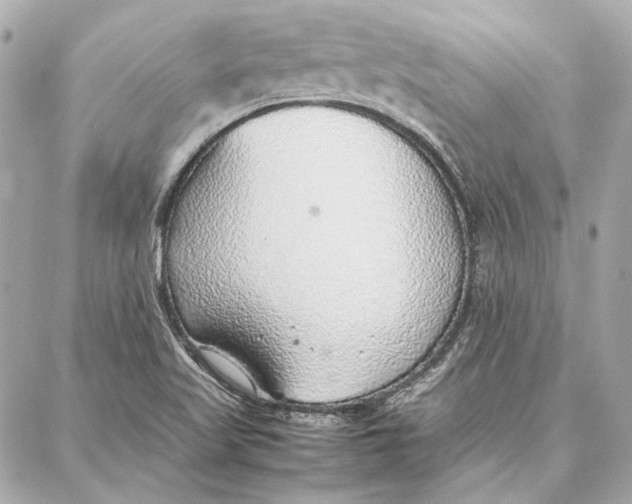 X0000087361509200705111632