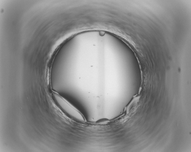 X0000087361510200705111632