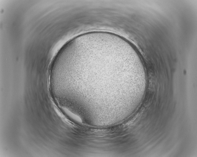 X0000087361511200705111632