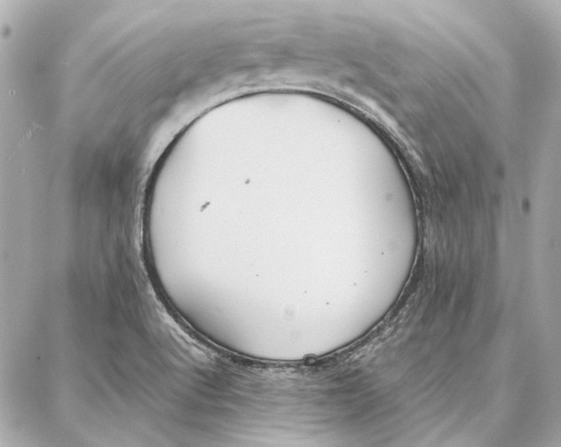 X0000087361512200705111632