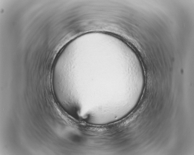 X0000087361513200705111632