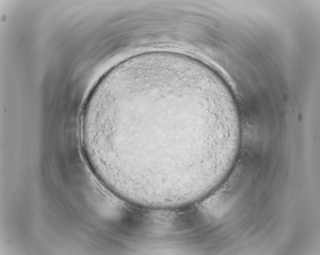 X0000087361514200705111632