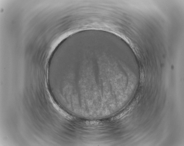 X0000087361515200705111632