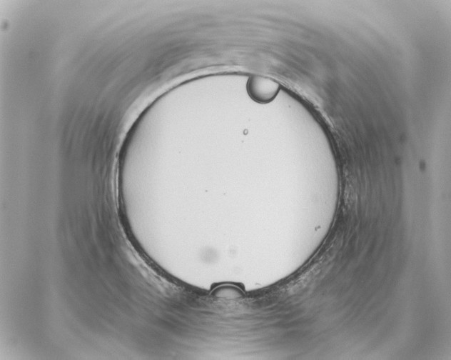 X0000087361516200705111632