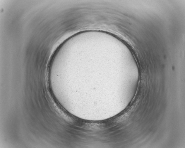 X0000087361517200705111632