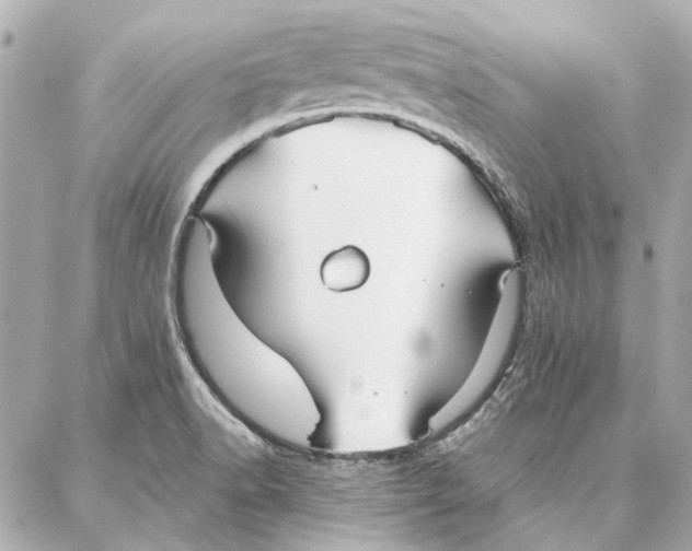 X0000087361518200705111632