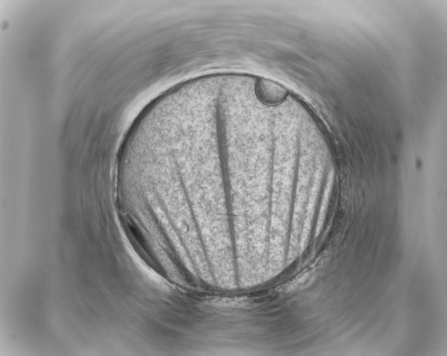 X0000087361519200705111632