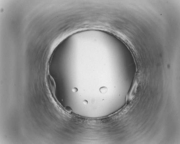 X0000087361520200705111632