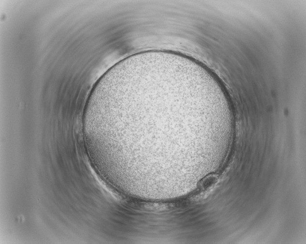 X0000087361521200705111632