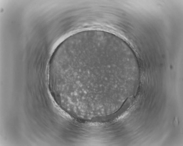 X0000087361522200705111632