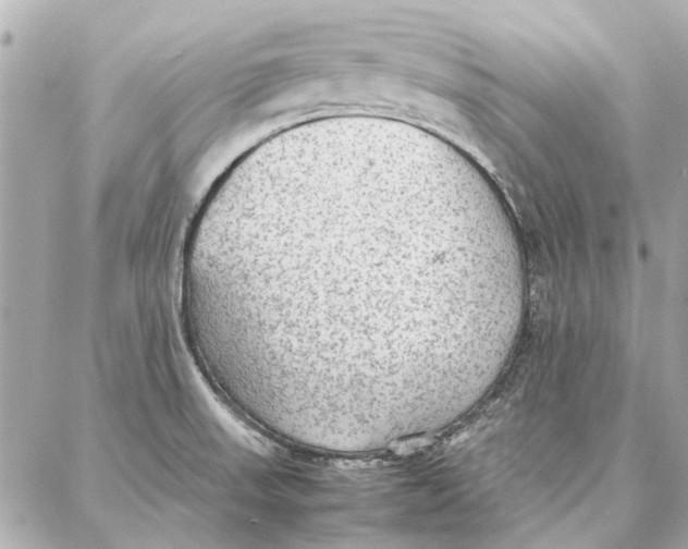 X0000087361523200705111632