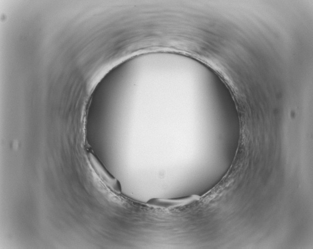 X0000087361524200705111632