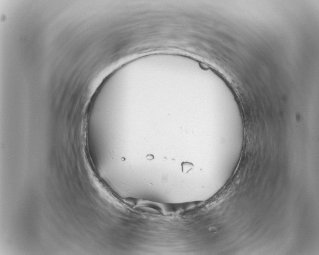 X0000087361526200705111632