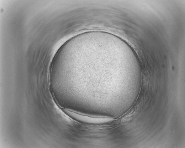 X0000087361527200705111632