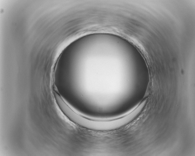 X0000087361528200705111632