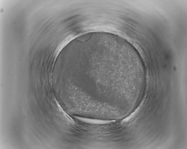 X0000087361529200705111632