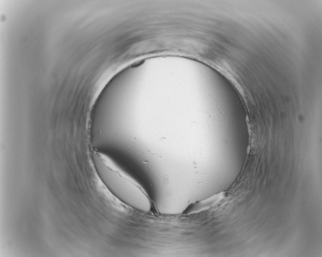 X0000087361532200705111632