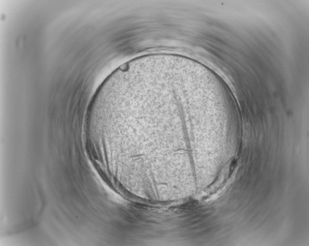 X0000087361533200705111632