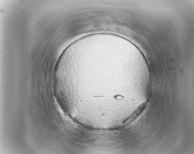 X0000087361534200705111632