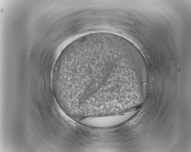 X0000087361535200705111632