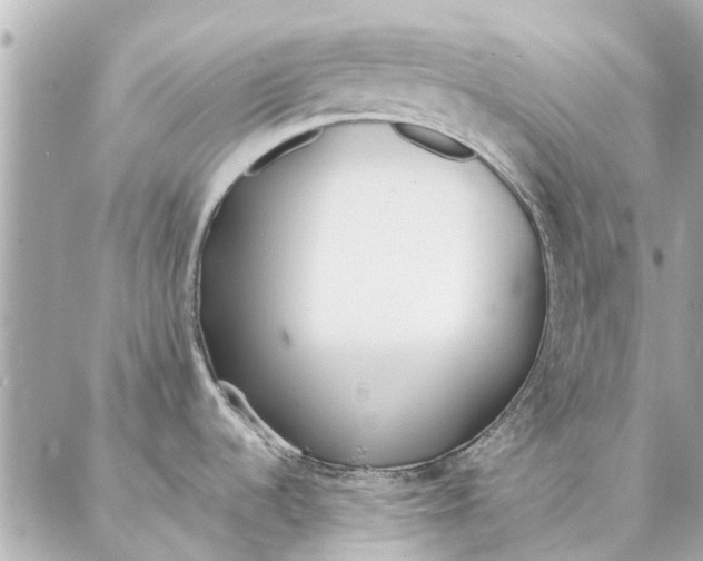 X0000087361536200705111632