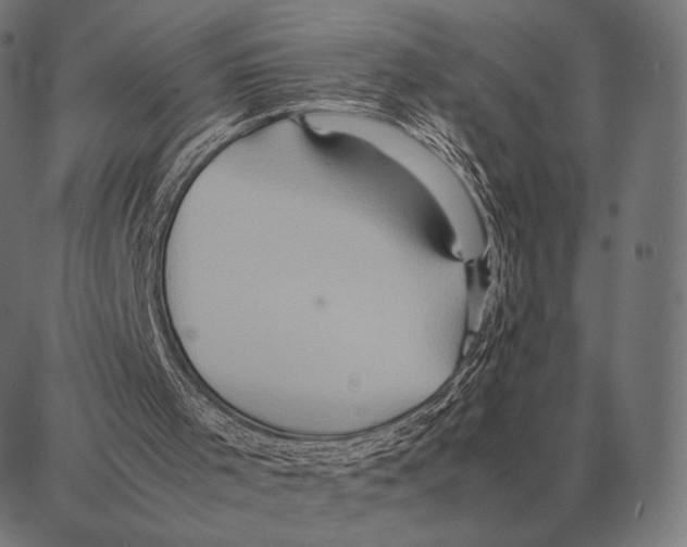 X0000087360001200705181203