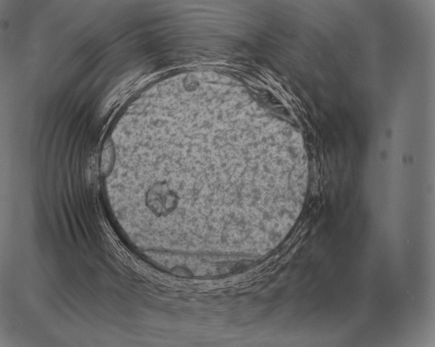 X0000087360002200705181203